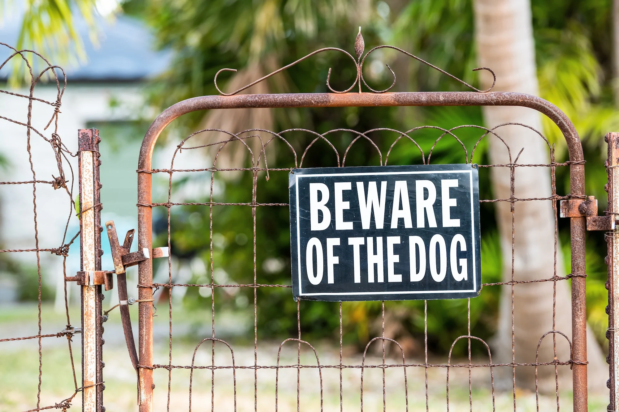 beware of the dog sign